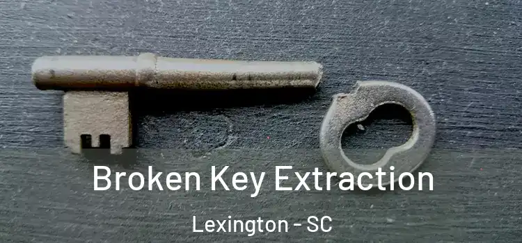 Broken Key Extraction Lexington - SC