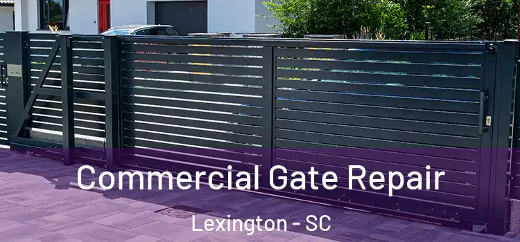  Commercial Gate Repair Lexington - SC