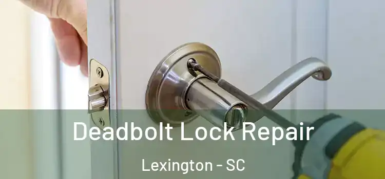  Deadbolt Lock Repair Lexington - SC