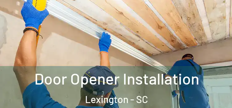  Door Opener Installation Lexington - SC