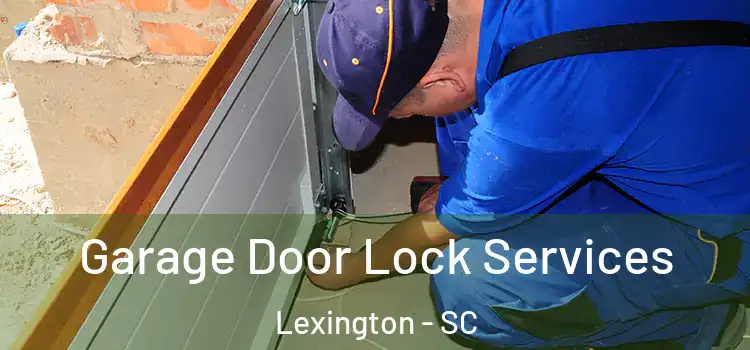  Garage Door Lock Services Lexington - SC