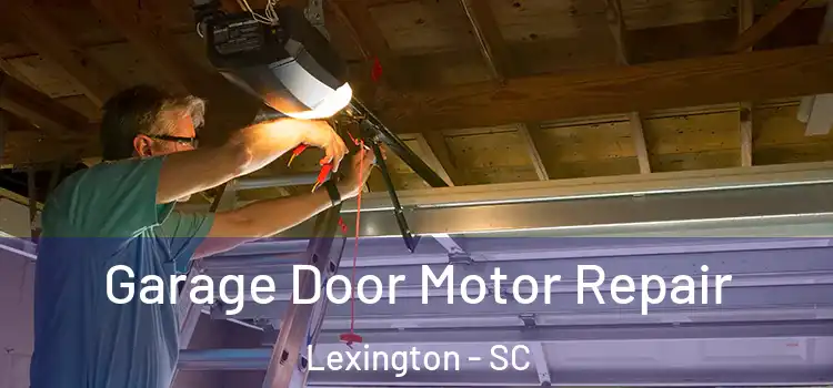  Garage Door Motor Repair Lexington - SC