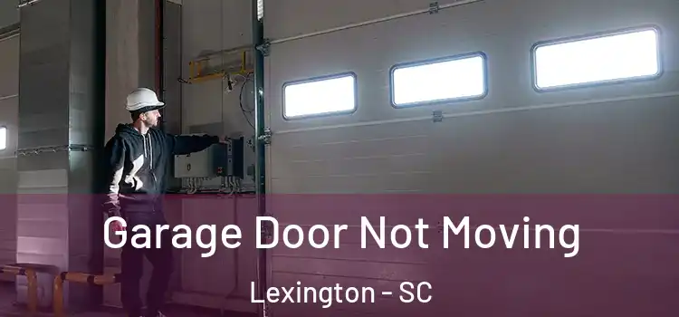  Garage Door Not Moving Lexington - SC