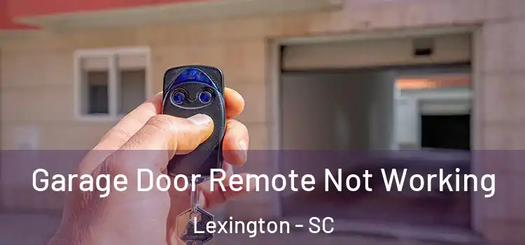  Garage Door Remote Not Working Lexington - SC