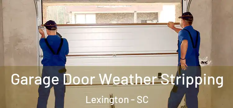  Garage Door Weather Stripping Lexington - SC