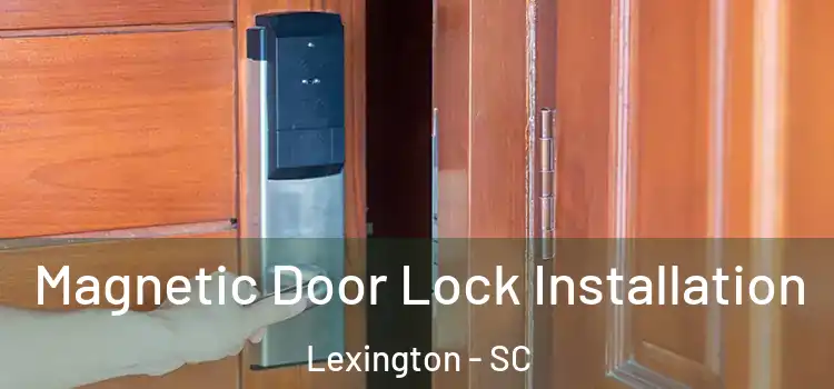  Magnetic Door Lock Installation Lexington - SC