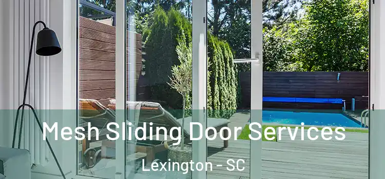 Mesh Sliding Door Services Lexington - SC
